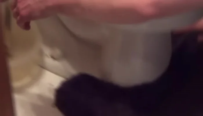 Remove the tank from the bowl.