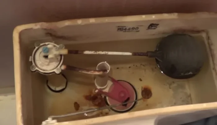 Use a sponge to remove any remaining water from the tank.