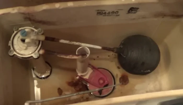 Use a sponge to remove any remaining water from the tank.