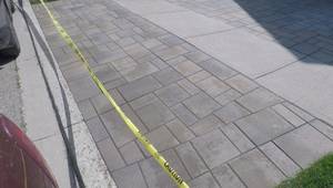 Ultimate Guide to Cleaning, Sealing, and Repairing Pavers: A Professional's Approach