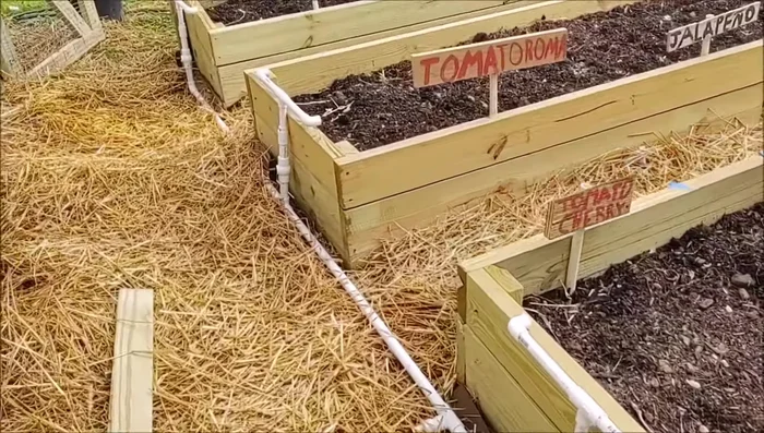 Install the main 3/4 inch irrigation line with an adapter to your garden hose. Use tees to split the line to different garden beds.