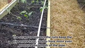 DIY Garden Irrigation System: Efficient Low-Pressure Setup