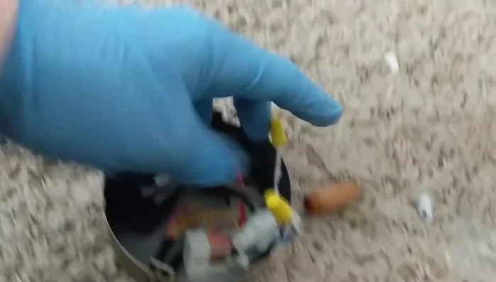 Identify and separate the blue and white wires which are for the light kit.