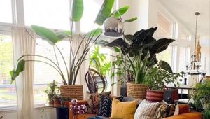 Achieve a Cozy Boho Chic Home: A Step-by-Step Guide