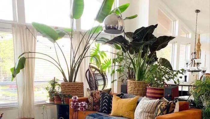 Add a pop of bright color using paint on a chair, side table, dresser, etc. or a painted canvas.