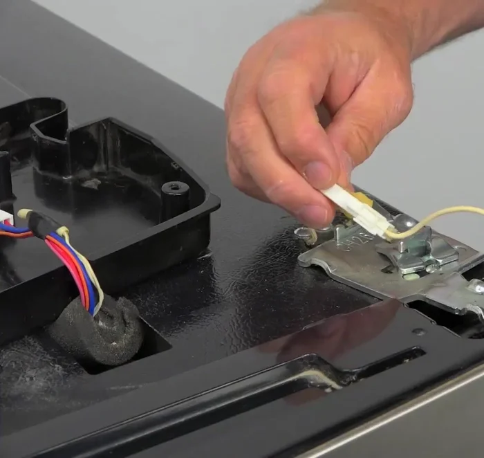 Disconnect the electrical plug from the refrigerator door.