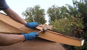 Repairing Rotten Wooden Fascia Board: A DIY Guide