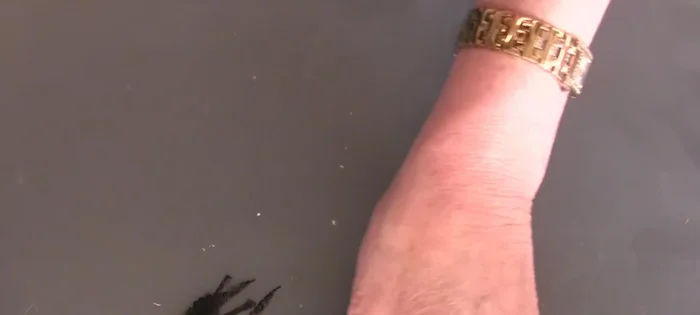 Let the paint dry completely.