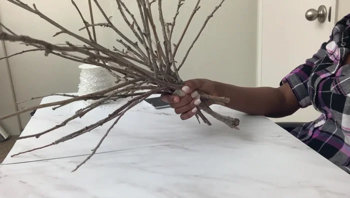 Spray paint the branch: Spray paint the branch silver.