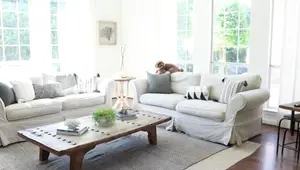 Dog-Friendly Home Design: Creating a Luxurious Space for Your Furry Friends