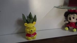 Easy DIY Planter: Budget-Friendly Home Decor