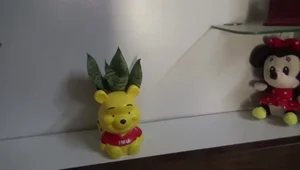 Easy DIY Planter: Budget-Friendly Home Decor
