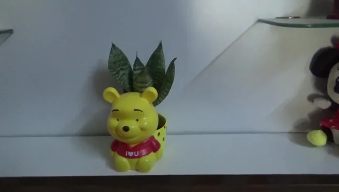 Introduction and welcome to the channel.