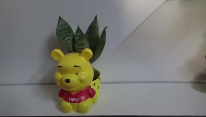 Preparing the planter (filling with soil etc.).