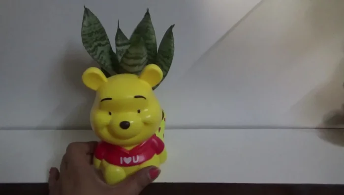 Adding the plant to the planter.