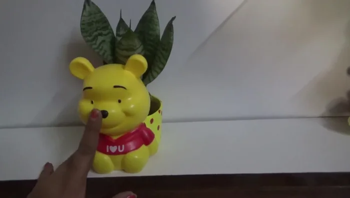 Decorating the planter (optional steps seem to be mentioned).