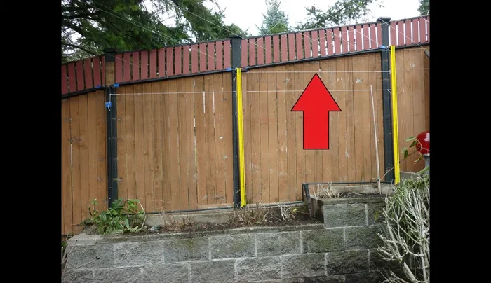 Use string to mark horizontal lines on the trellis frame, ensuring accurate placement on the template.