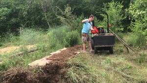 No-Till Asparagus Bed Creation: A Sustainable Gardening Guide