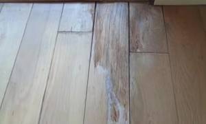 Repairing Water Damaged Hardwood Floors: A Step-by-Step Guide
