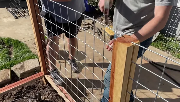 Tap the cattle panels firmly into place with a hammer to ensure a secure fit.