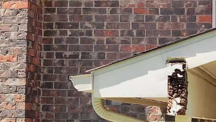 Remove all damaged, pulverized, and punky wood to prepare a solid base for repair.