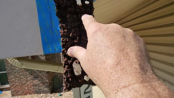 Embed boric acid rods into the wood for added protection against future decay.