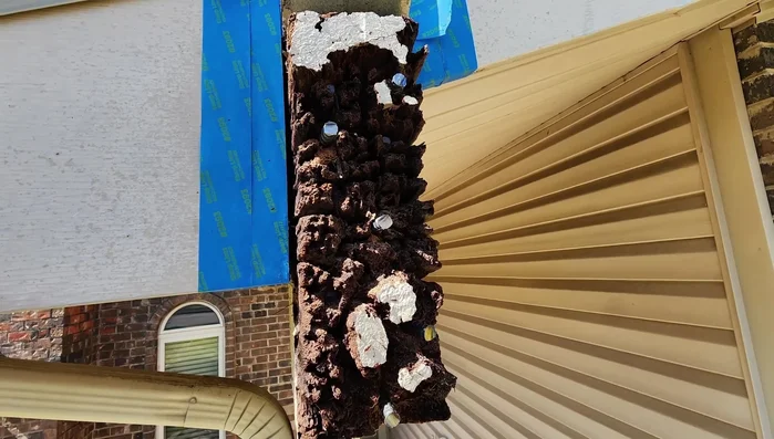 Install steel reinforcement rods for added support to the epoxy.