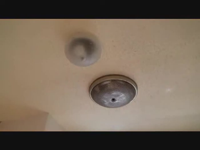 Inspect the light switch: Check if the light switch is the problem, although it was previously replaced and confirmed working.