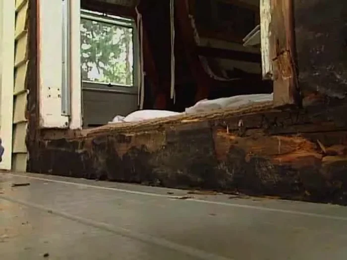 Install the new riser (if needed) using 8d galvanized nails.