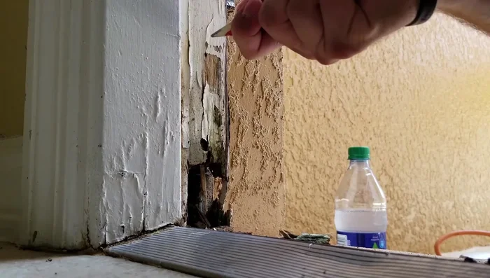 Locate and mark the hard, un-rotted section of the door jamb.