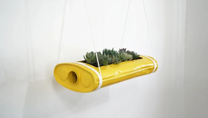 Plant succulents (or other suitable plants).