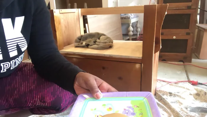 Patch any holes using bondo, sand smooth, and apply a second coat of paint (Savannah).