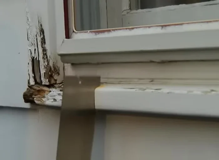 Remove crumbling and rotted wood using chisel and pry bar if necessary.