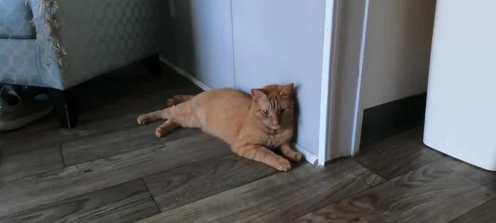 Tighten all bolts/screws around the table.