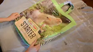 Upcycled Chicken Feed Bag Shopping Tote: Easy DIY Tutorial