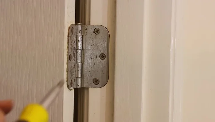 Check all hinges: Ensure all screws on all hinges are tight and flush.