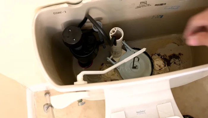 Remove the old flapper by lifting the side arms and detaching it from the flush arm.