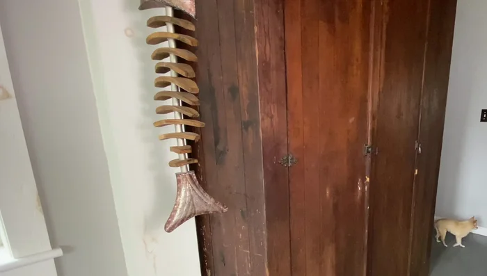 Organize removed hardware. Keep screws and nuts with corresponding parts if intending to reuse them. Use a container to keep track of small parts.