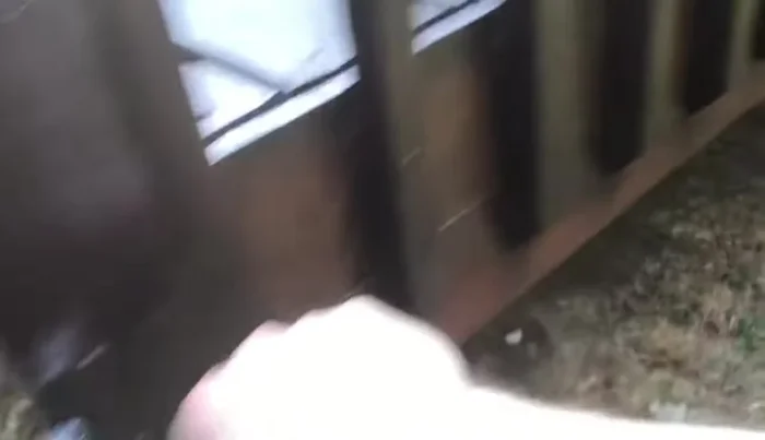 Tighten existing fasteners.