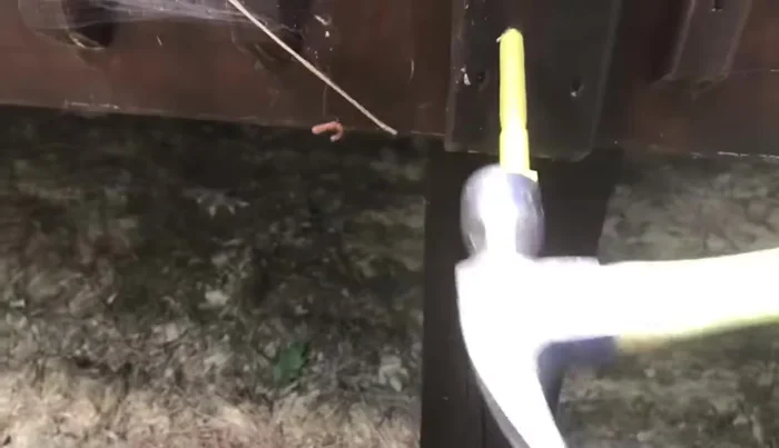 Tighten the lag bolts using a ratchet and socket until the washer gently bites into the post.