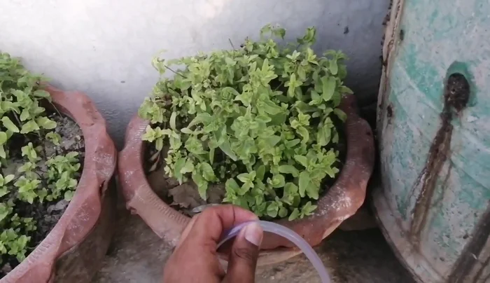 Insert the small plastic tubing/connectors into the cuts in the level pipe. Secure them tightly using cable ties to prevent leaks.