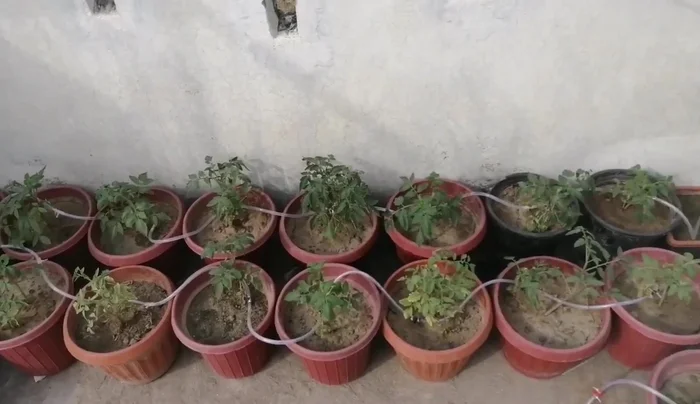 Fill the water reservoir (19-liter bottle or tank).