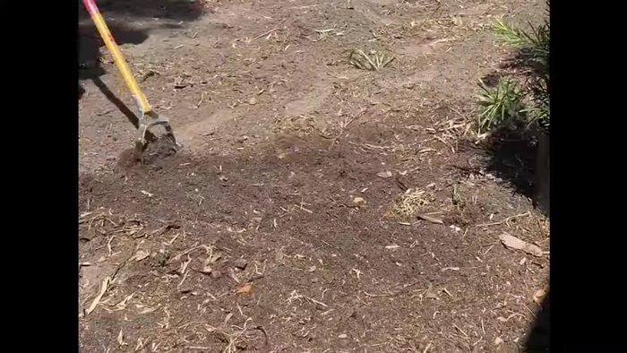 Layout and Excavation