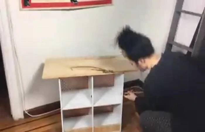 Insert copper pipes through the holes, leaving half an inch exposed on each side. Cap the ends.