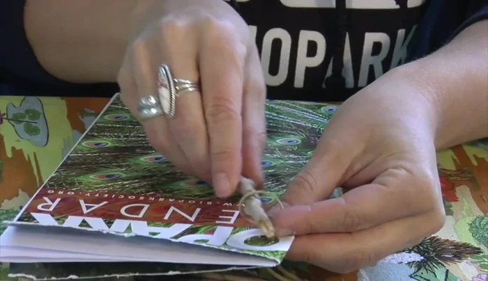 Thread the other end of the rubber band through the second loop to secure the notebook.