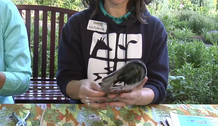 Fold your recycled paper sheets in half.