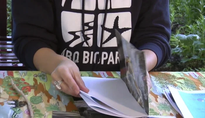 Slip the folded recycled paper sheets into the folded calendar page, ensuring the folded sides are on the outside.