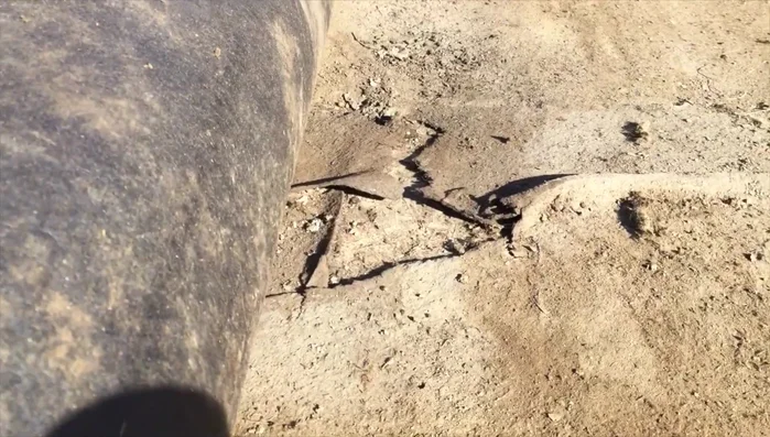 Install new felt. Lay down new felt sheets, overlapping them to ensure water-tight coverage. Tuck the felt underneath the surrounding tiles to create a seamless seal.