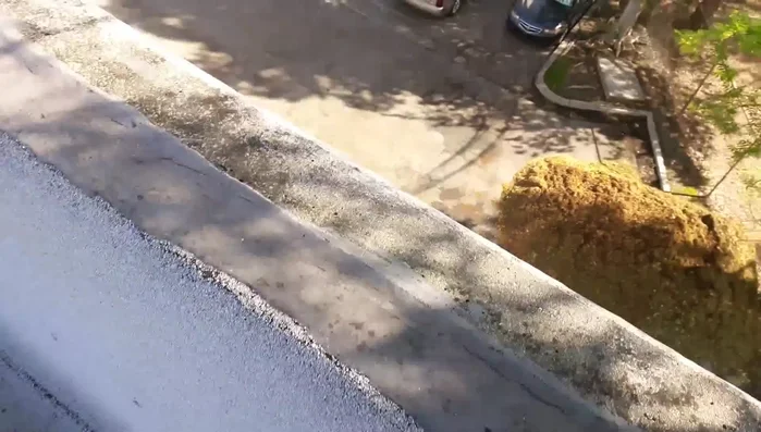 Locate the leak inside the building. Measure from a wall reference point (e.g., windows) to pinpoint the leak's location relative to the building's interior.