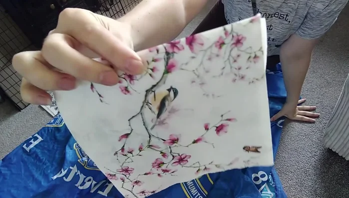 Allow the Mod Podge to dry completely.